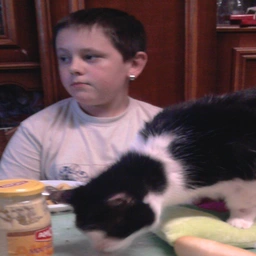 Foto de Guillaume de niño con un gato